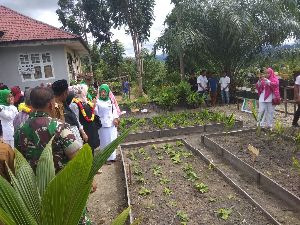 TAMAN TOGA (TANAMAN OBAT KELUARGA)