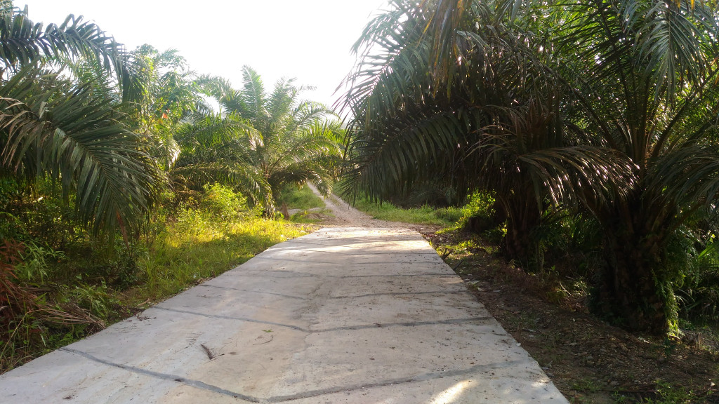 INFRASTRUKTUR JALAN DESA